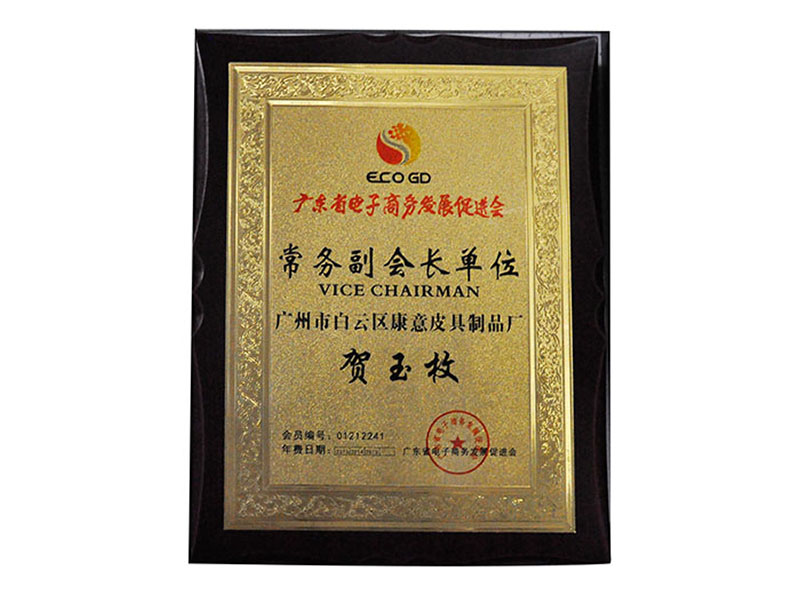 康意常務(wù)副會(huì)長(zhǎng)單位